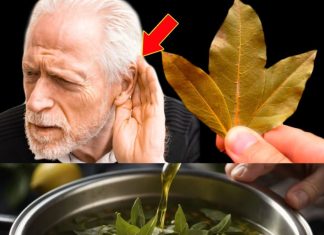 Managing Labyrinthitis Symptoms with Natural Remedies: The Role of Bay Leaves