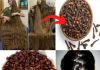 Cloves for Hair Growth: Unlock Thicker Hair in Less Than 30 Days