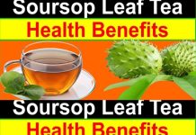 Reasons Why You Should Drink Soursop Leaf Tea