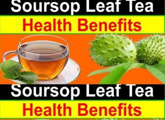 Reasons Why You Should Drink Soursop Leaf Tea