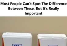 Most People Can’t Spot The Difference Between These, But It’s Really Important