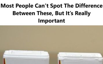 Most People Can’t Spot The Difference Between These, But It’s Really Important