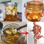 Discover the Power of Garlic and Honey: What Happens When You Eat Them on an Empty Stomach for 7 Days