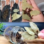 A Simple, Effective Remedy for Hair Loss and Hair Growth! Recipe with Bay Leaf and Cloves
