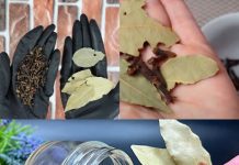 A Simple, Effective Remedy for Hair Loss and Hair Growth! Recipe with Bay Leaf and Cloves