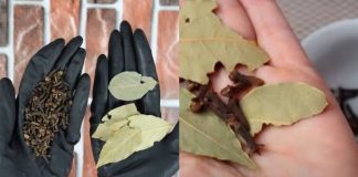 A Simple, Effective Remedy for Hair Loss and Hair Growth! Recipe with Bay Leaf and Cloves