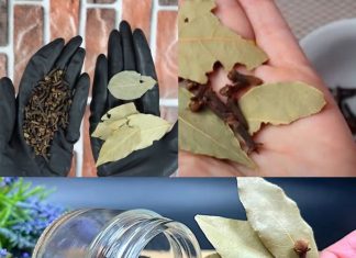 A Simple, Effective Remedy for Hair Loss and Hair Growth! Recipe with Bay Leaf and Cloves