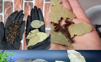 A Simple, Effective Remedy for Hair Loss and Hair Growth! Recipe with Bay Leaf and Cloves