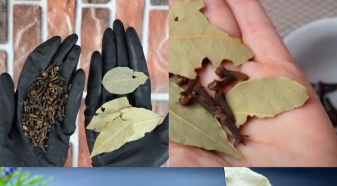 A Simple, Effective Remedy for Hair Loss and Hair Growth! Recipe with Bay Leaf and Cloves
