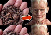 7 Surprising Health Benefits of Cloves That Hardly Anyone Knows About!