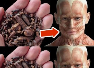 7 Surprising Health Benefits of Cloves That Hardly Anyone Knows About!