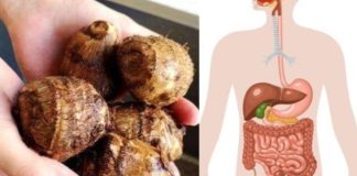 Taro (Colocasia esculenta): The Secret to Digestive and Colon Health