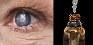 Rosemary for Vision: A Natural Way to Tackle Cataracts and Eye Inflammation