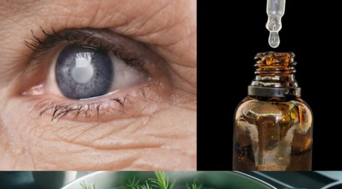 Rosemary for Vision: A Natural Way to Tackle Cataracts and Eye Inflammation