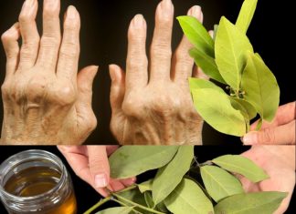 Apply Bay Leaves to Your Joints: Feel the Difference in Just a Week!