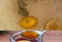 Cleanse Your Lungs with Powerful Homemade Cough Syrup: Bay Leaves Remedy