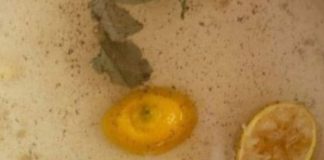 Cleanse Your Lungs with Powerful Homemade Cough Syrup: Bay Leaves Remedy