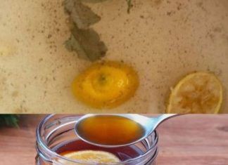 Cleanse Your Lungs with Powerful Homemade Cough Syrup: Bay Leaves Remedy