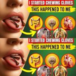 Unlocking the Power of Cloves: Say Goodbye to Health Issues