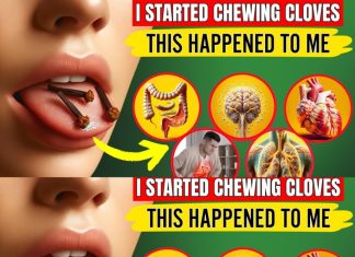 Unlocking the Power of Cloves: Say Goodbye to Health Issues