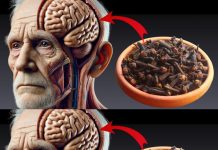 99% of People DON’T KNOW: What Happens When You Chew 2 Cloves Daily After 50