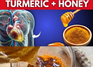 Over 50? Here’s What Honey and Turmeric Can Do for Your Body in Just 7 Days!