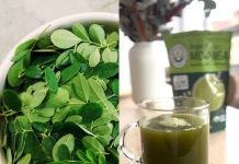 How to Make Moringa Powder: Unlock the Benefits of the “Tree of Life” Superfood