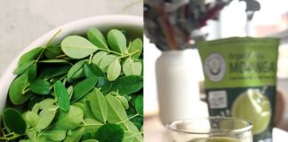 How to Make Moringa Powder: Unlock the Benefits of the “Tree of Life” Superfood