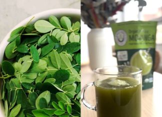 How to Make Moringa Powder: Unlock the Benefits of the “Tree of Life” Superfood