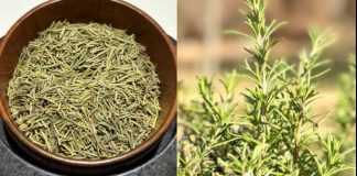 Rosemary Tea: Drink It for 15 Days and Experience These Benefits