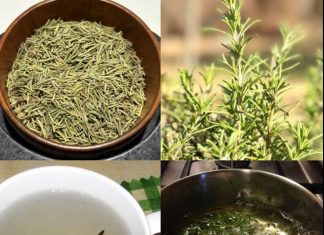 Rosemary Tea: Drink It for 15 Days and Experience These Benefits