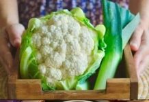 Creamy Cauliflower Soup