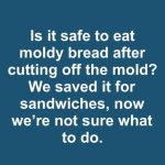 is it safe to eat moldy bread after cutting off the mold we saved it for sandwiches now were not sure what to do