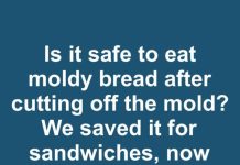 is it safe to eat moldy bread after cutting off the mold we saved it for sandwiches now were not sure what to do