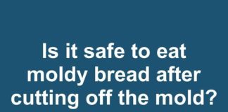is it safe to eat moldy bread after cutting off the mold we saved it for sandwiches now were not sure what to do