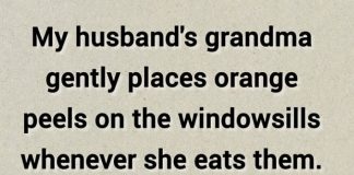 Don’t Toss Tangerine Peels! Put Them on Your Windowsills Instead
