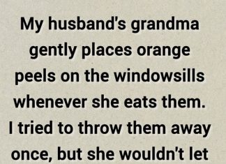 Don’t Toss Tangerine Peels! Put Them on Your Windowsills Instead