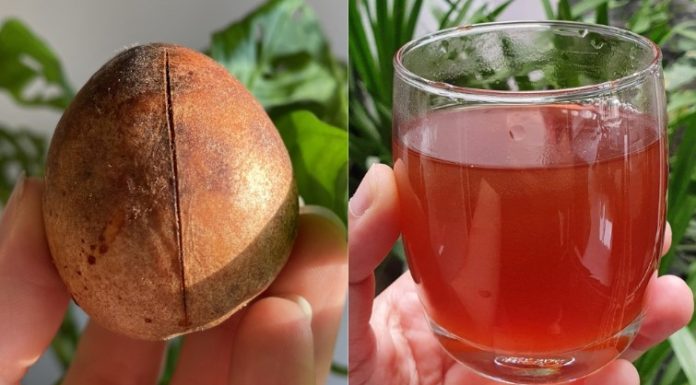 The Miracle Seed That Emptied Hospitals: A Natural Remedy for Diabetes, Poor Circulation, High Blood Pressure, and Fatty Liver