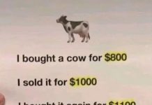 The Cow Math Puzzle: A Brain Teaser for the Curious Mind