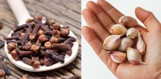 Mixing Garlic, Honey, and Cloves: The Secret No One Will Ever Tell You!