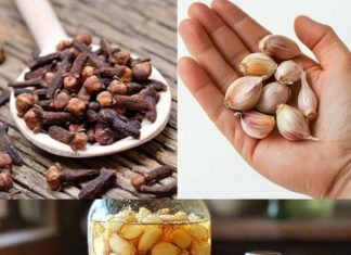 Mixing Garlic, Honey, and Cloves: The Secret No One Will Ever Tell You!