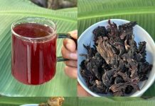 The Ultimate Natural Remedy for Health Issues Over 50: Say Goodbye to Diabetes, Fatty Liver, Poor Circulation, and Joint Pain
