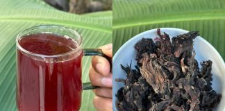 The Ultimate Natural Remedy for Health Issues Over 50: Say Goodbye to Diabetes, Fatty Liver, Poor Circulation, and Joint Pain