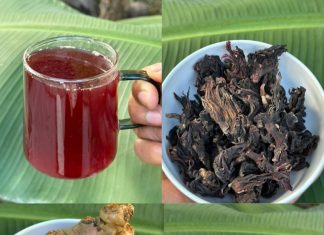 The Ultimate Natural Remedy for Health Issues Over 50: Say Goodbye to Diabetes, Fatty Liver, Poor Circulation, and Joint Pain