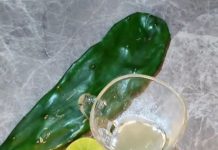 Lemon and Nopal Remedy: A Powerful Natural Treatment for Your Health