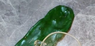 Lemon and Nopal Remedy: A Powerful Natural Treatment for Your Health