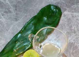 Lemon and Nopal Remedy: A Powerful Natural Treatment for Your Health