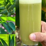 This Is the Drink That Can Help Cure Cancer, Diabetes, Poor Circulation, and High Blood Pressure Without Expensive Medications