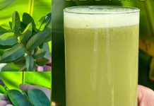 This Is the Drink That Can Help Cure Cancer, Diabetes, Poor Circulation, and High Blood Pressure Without Expensive Medications