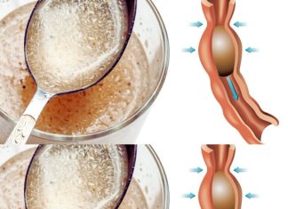The Remarkable Effects of Fiber on Blood Sugar Control
